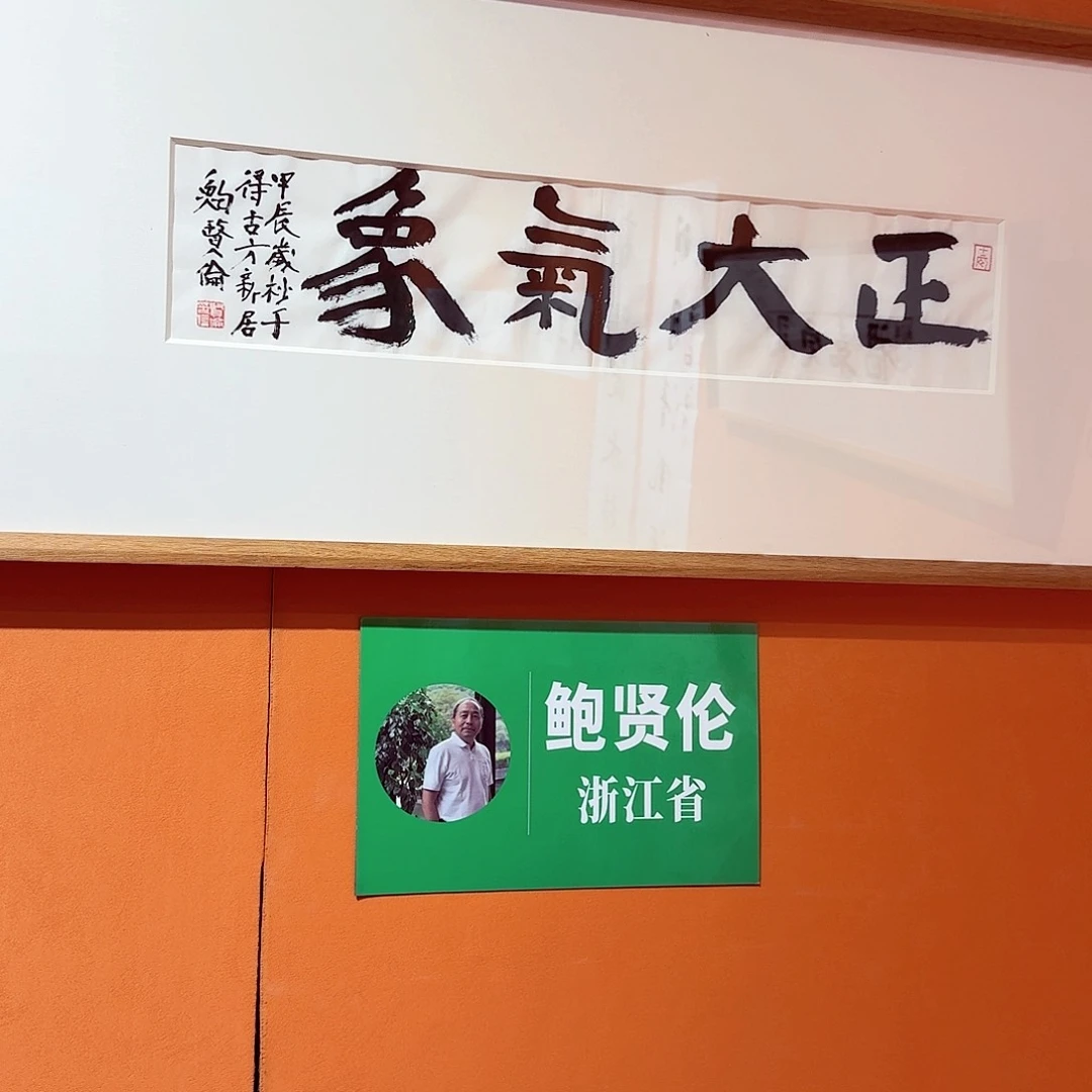 书法阿****8鲍老师书法