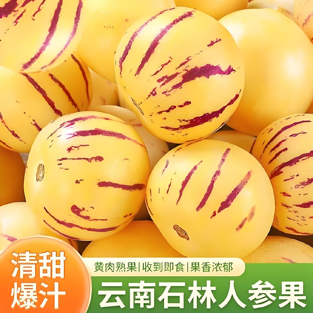 【正宗石林人参果】产地直发当季新鲜水果香甜多汁人生果黄心大圆果