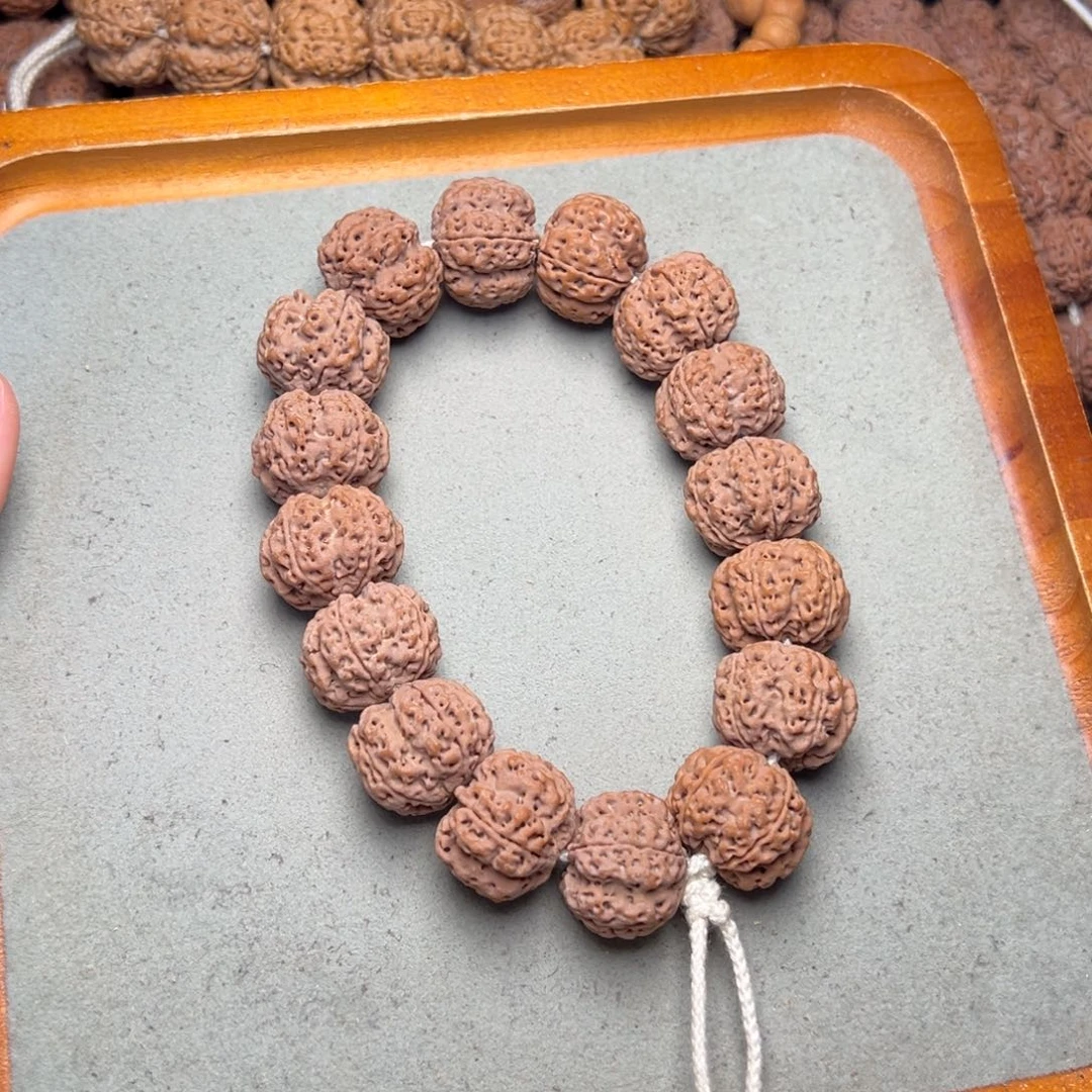 菩提12号金刚菩提满肉双龙22