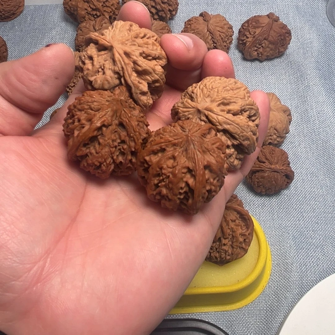 可***梦核桃核桃和他们核桃