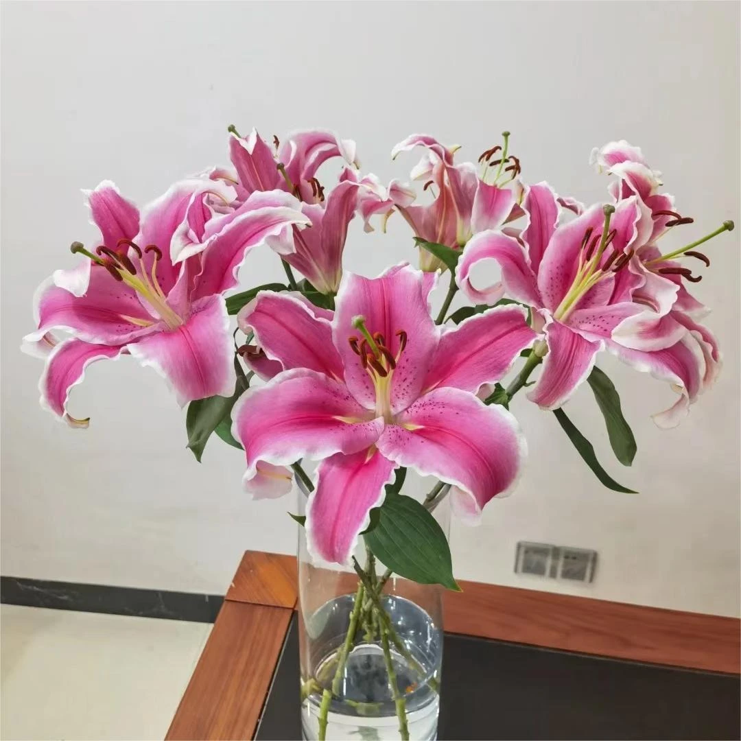 【马龙百合鲜花】云南直发玫瑰鲜花两单顺丰冷链包邮LT