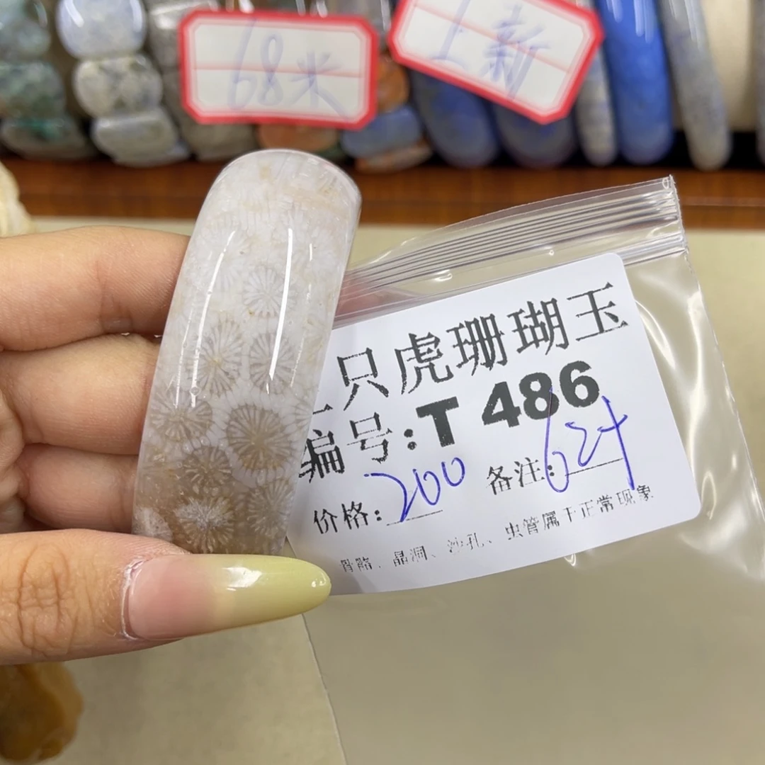 j***在硅化珊瑚（珊瑚玉）h未镶嵌