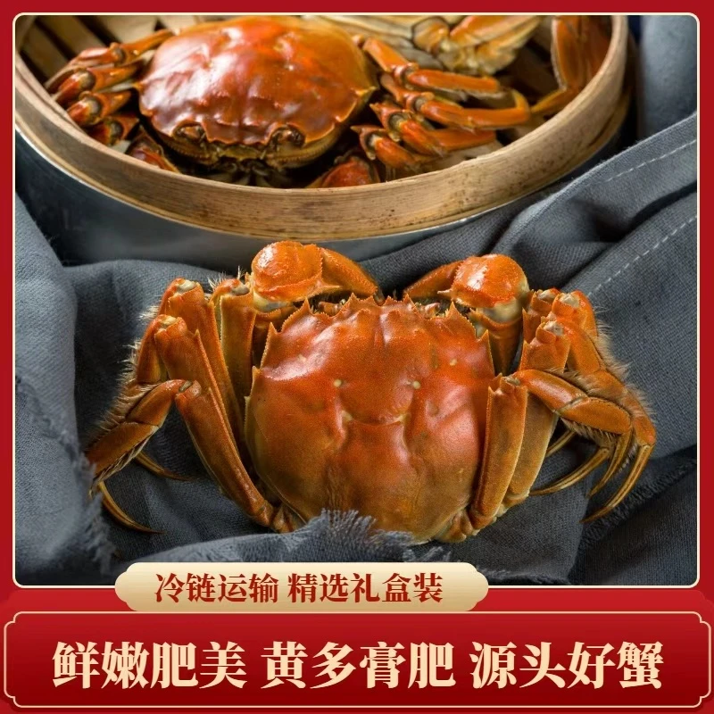 【活蟹】盘锦稻田蟹  （1.3-1两） 混装3斤  母2斤+公1斤（30-26只）