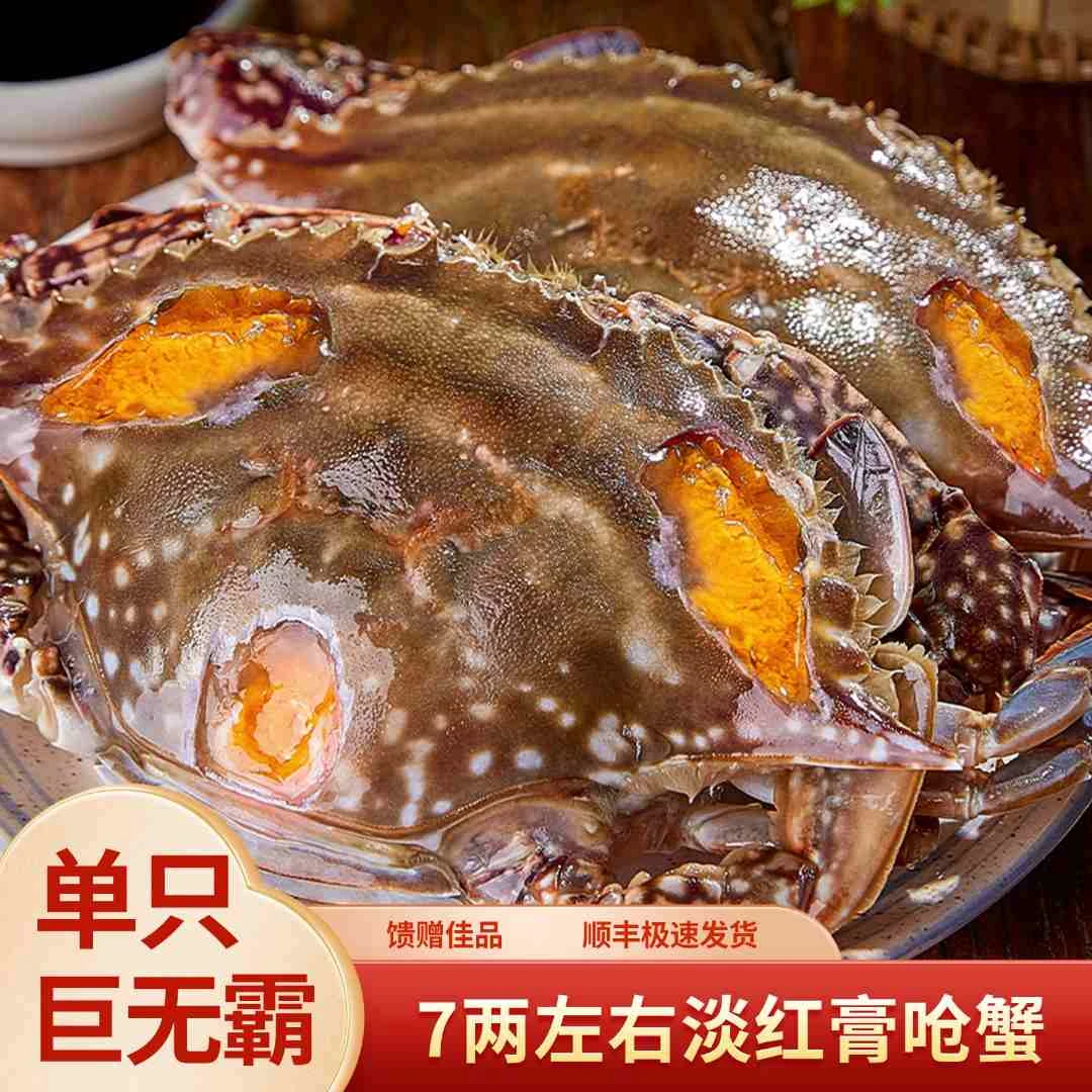 【精选巨无霸7两左右舟山正宗红膏呛蟹】舟山正宗红膏呛蟹红膏母蟹A