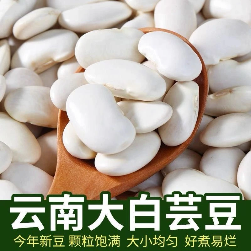 【软糯易煮】正宗云南农家自种白芸豆批发五谷杂粮大白豆雪豆炖汤