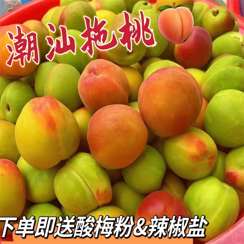 潮汕特产梅汁拖桃拖李新鲜当季水果当季卤桃酸甜脆腌制现做水果