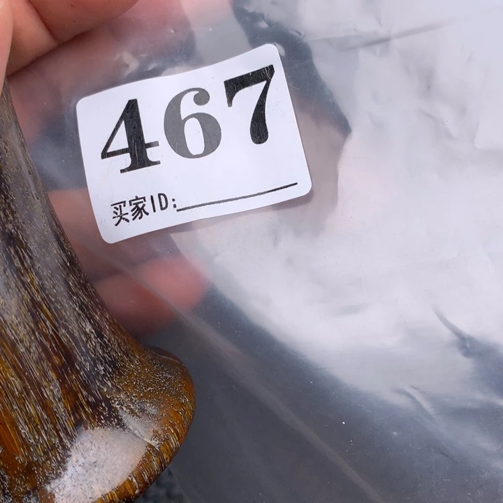 大果紫檀(缅甸花梨)