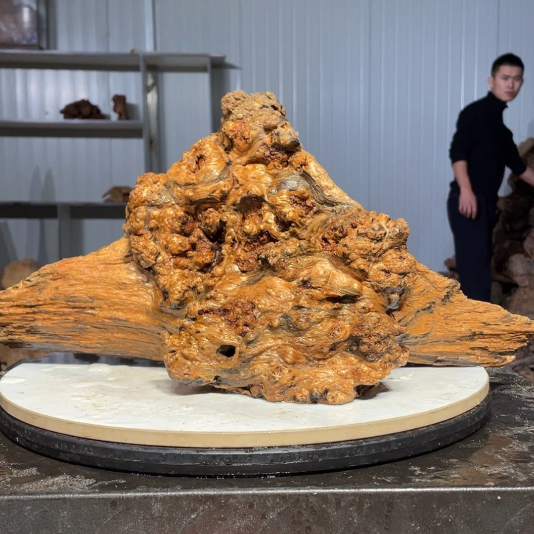 鸿***道木猛子琥珀木摆件31