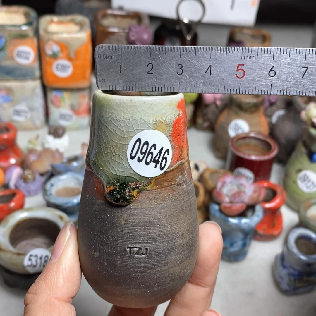 花盆拍5送一个小礼物，不含多肉，