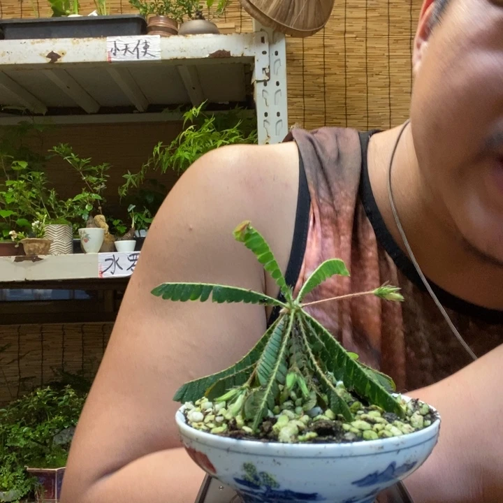 澍*一物一拍所见即所得365