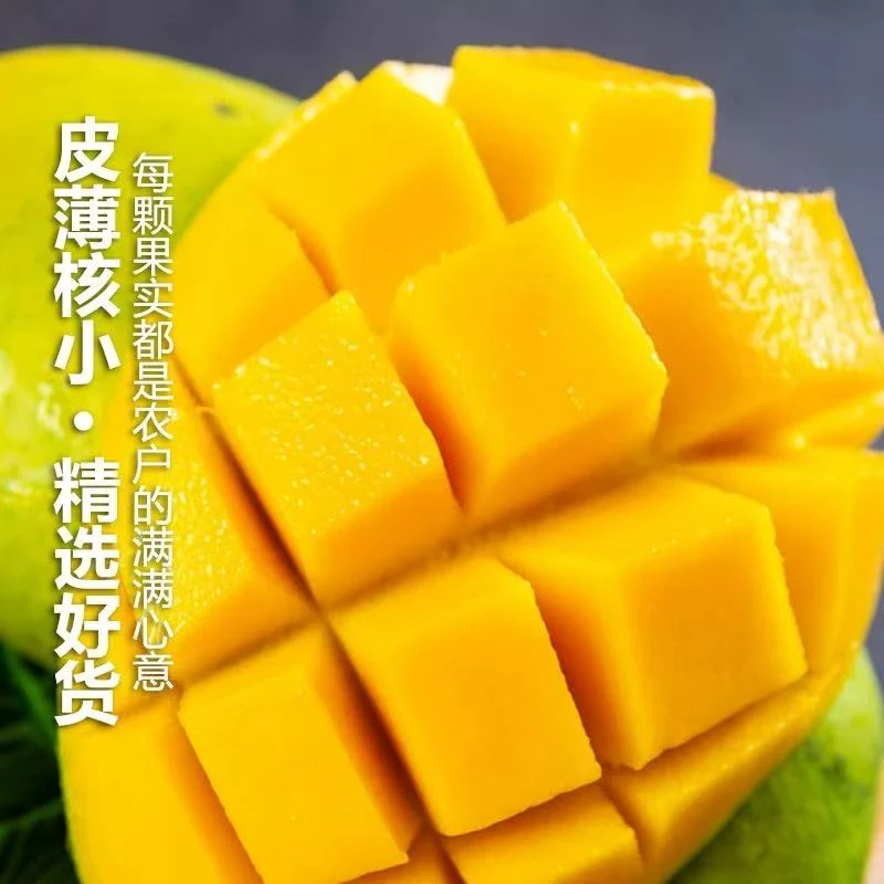 广西大青芒果新鲜水果当季正宗青皮甜心芒热带鲜大芒果3斤/6斤大青芒