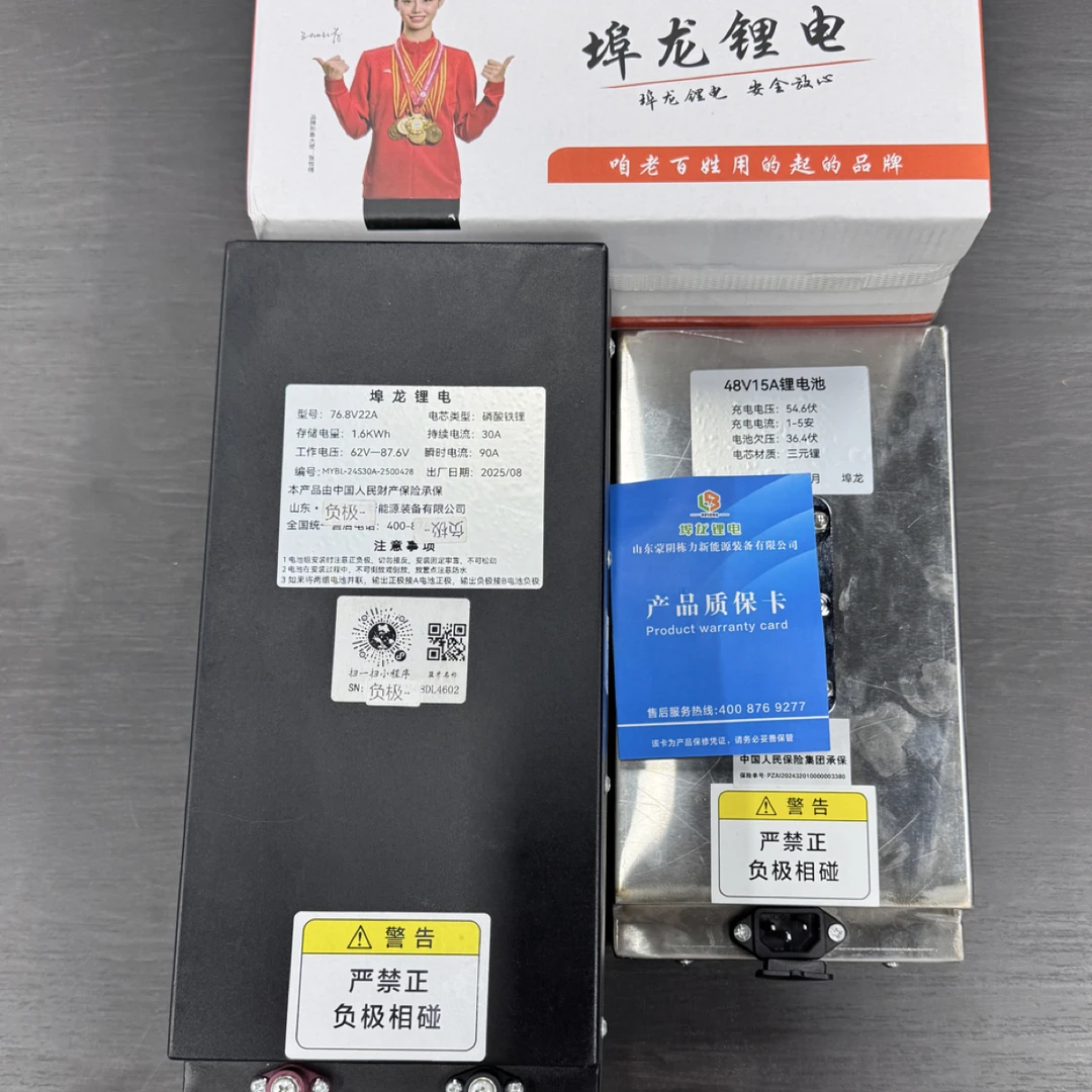 成品48v60v72v家用二轮三轮电池 带充电器