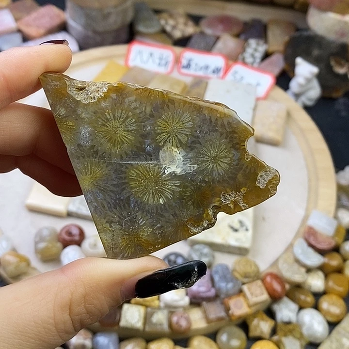 针钠钙石（海纹石）未镶嵌颈饰2