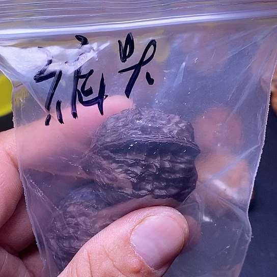 【闪购商品】吊坠文玩核桃蕾****头