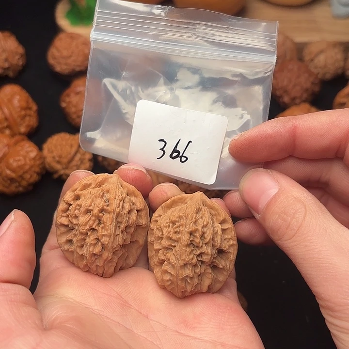 文玩核桃把件37 尺   马老四     366