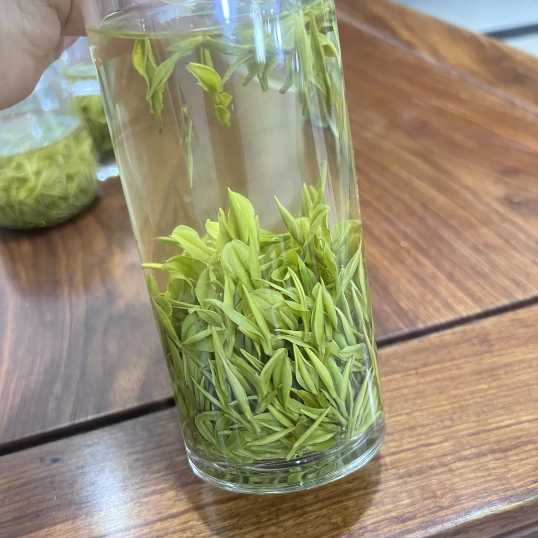 【兰花香小芽头】2025新茶枫璟白茶高山原产地安吉白茶