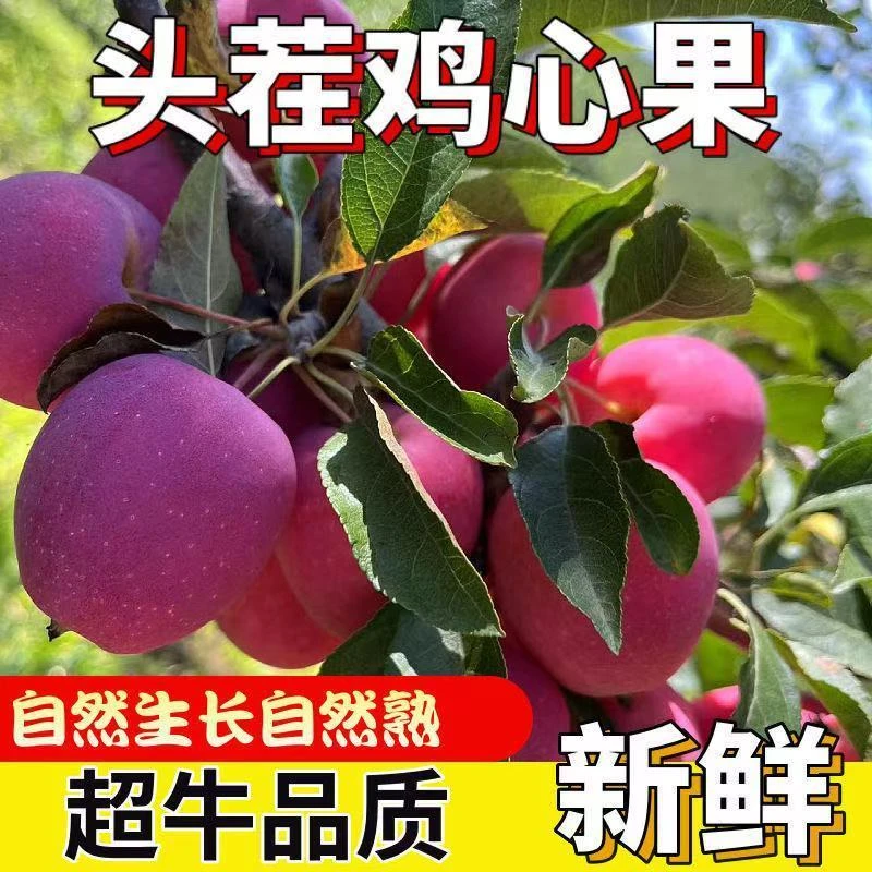 正宗陕西鸡心果脆甜多汁新鲜应季孕妇水果现摘老幼皆宜