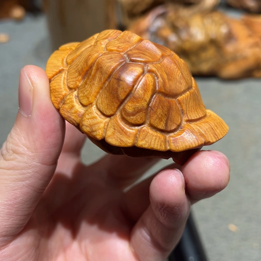 柏木（崖柏）北太行陈化崖柏