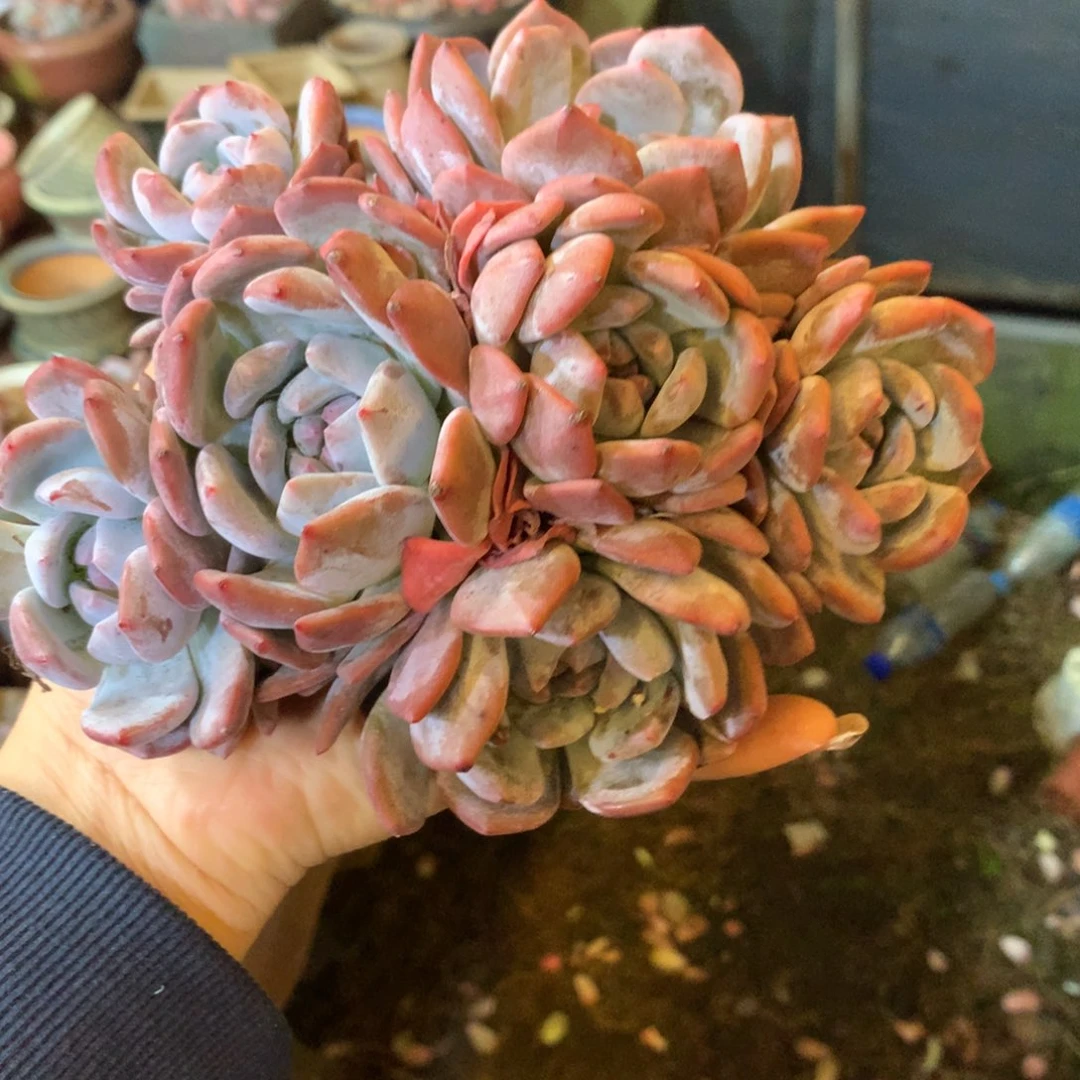 哈哈哈哈哈哈哈哈哈哈哈