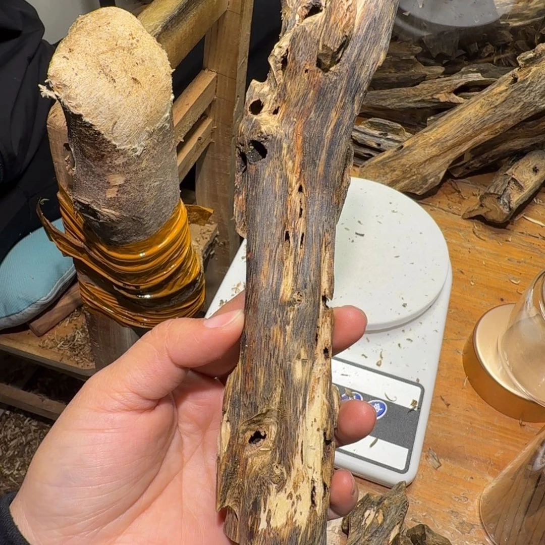 棋楠沉香白奇块料55克