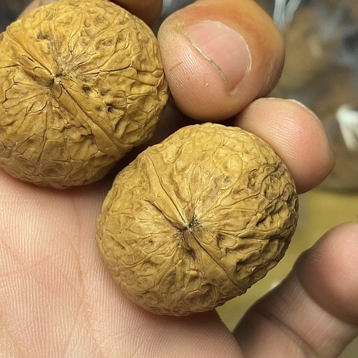 文玩核桃把件志成云铁文玩97