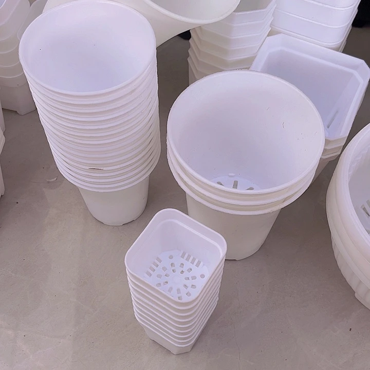 5白方口5高5一组50个