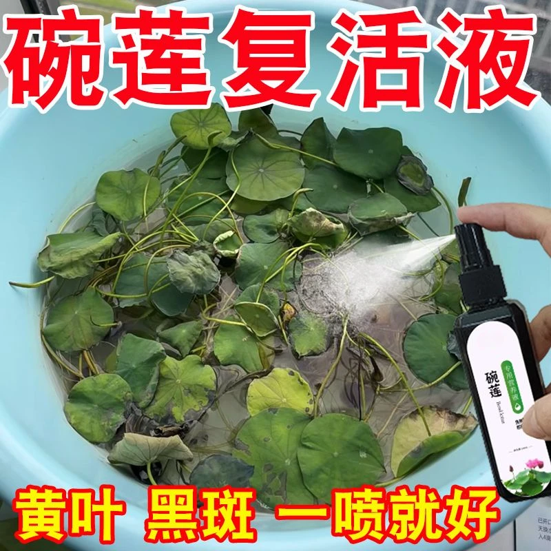 碗莲睡莲干叶专用营养液促发芽开花防黄叶延花期护花营养液一喷绿