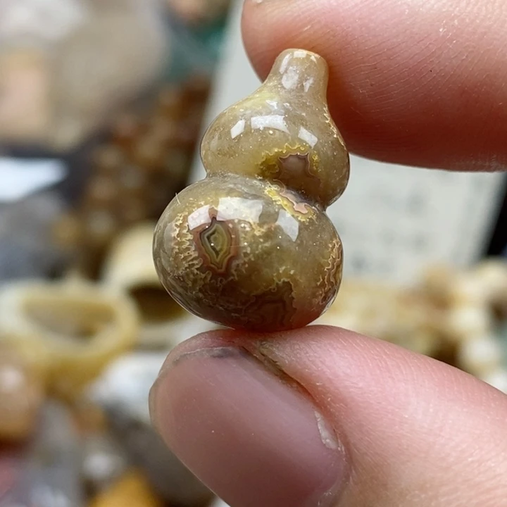 硅化珊瑚（珊瑚玉）未镶嵌颈饰小