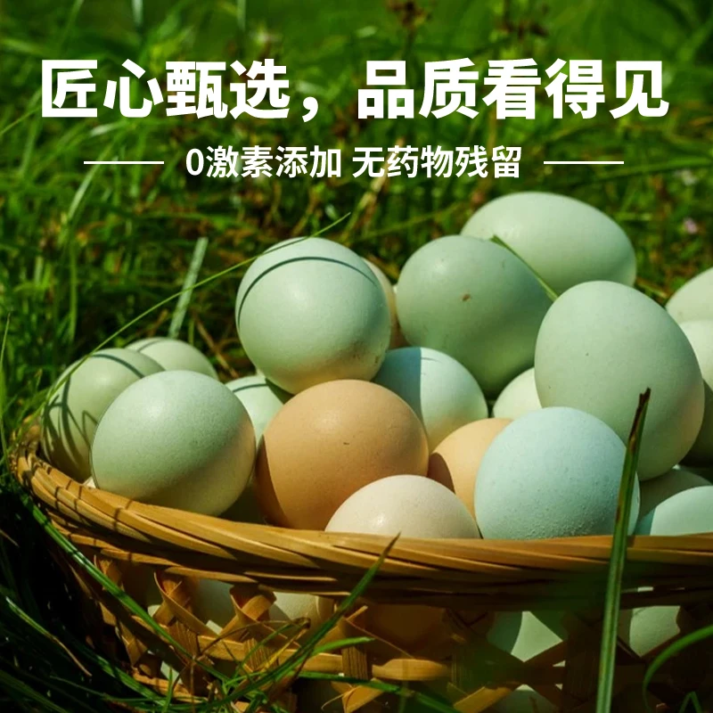 【和宸农场】50枚新鲜正宗绿黄壳蛋农家山林放养现捡现发土鸡蛋