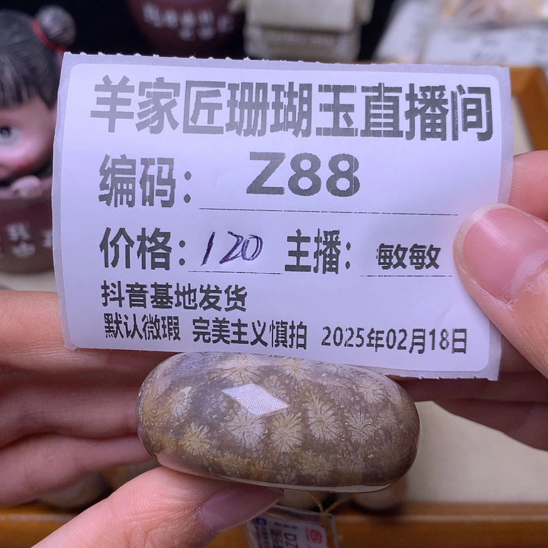 【闪购商品】硅化珊瑚（珊瑚玉）手链未镶嵌菜Z88