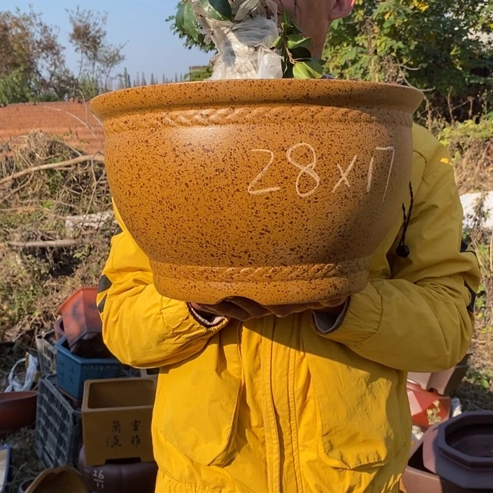 紫砂花盆紫砂特价包邮送盒