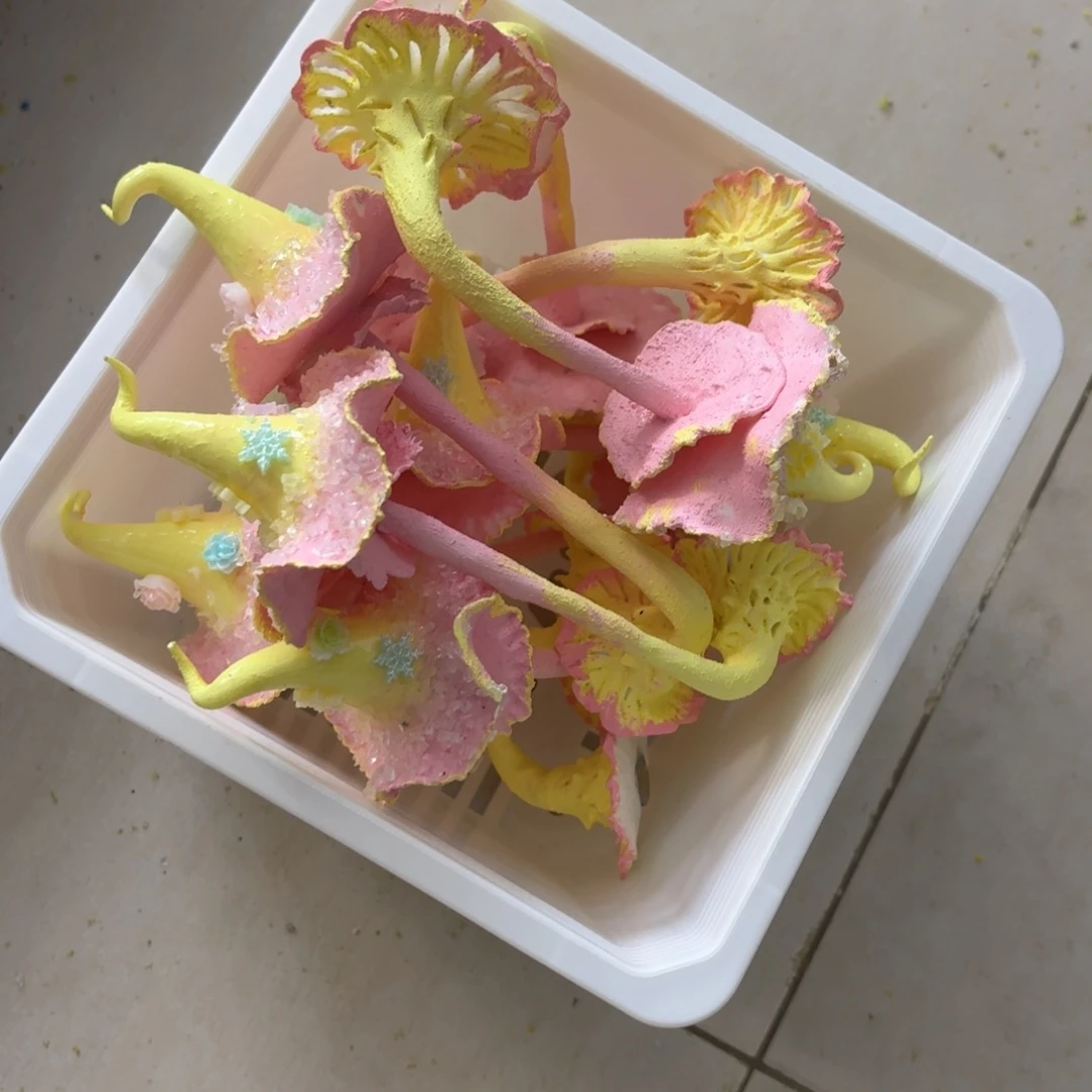 树脂制品51噢噢噢哦哦
