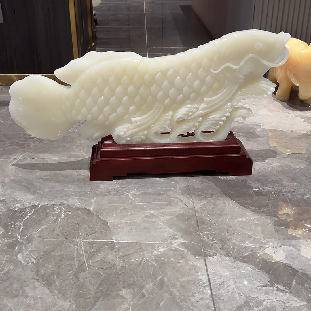 石材星*白冰龙鱼