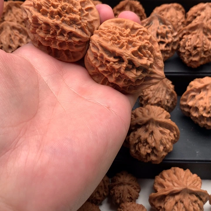 其他核桃巧****机秦岭山脉和黄土
