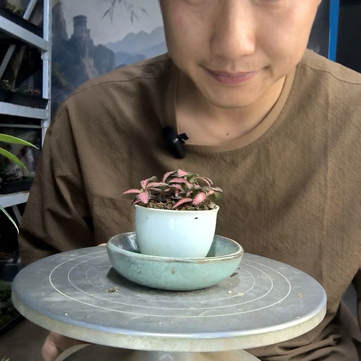 我****逗中青园艺一物一拍80