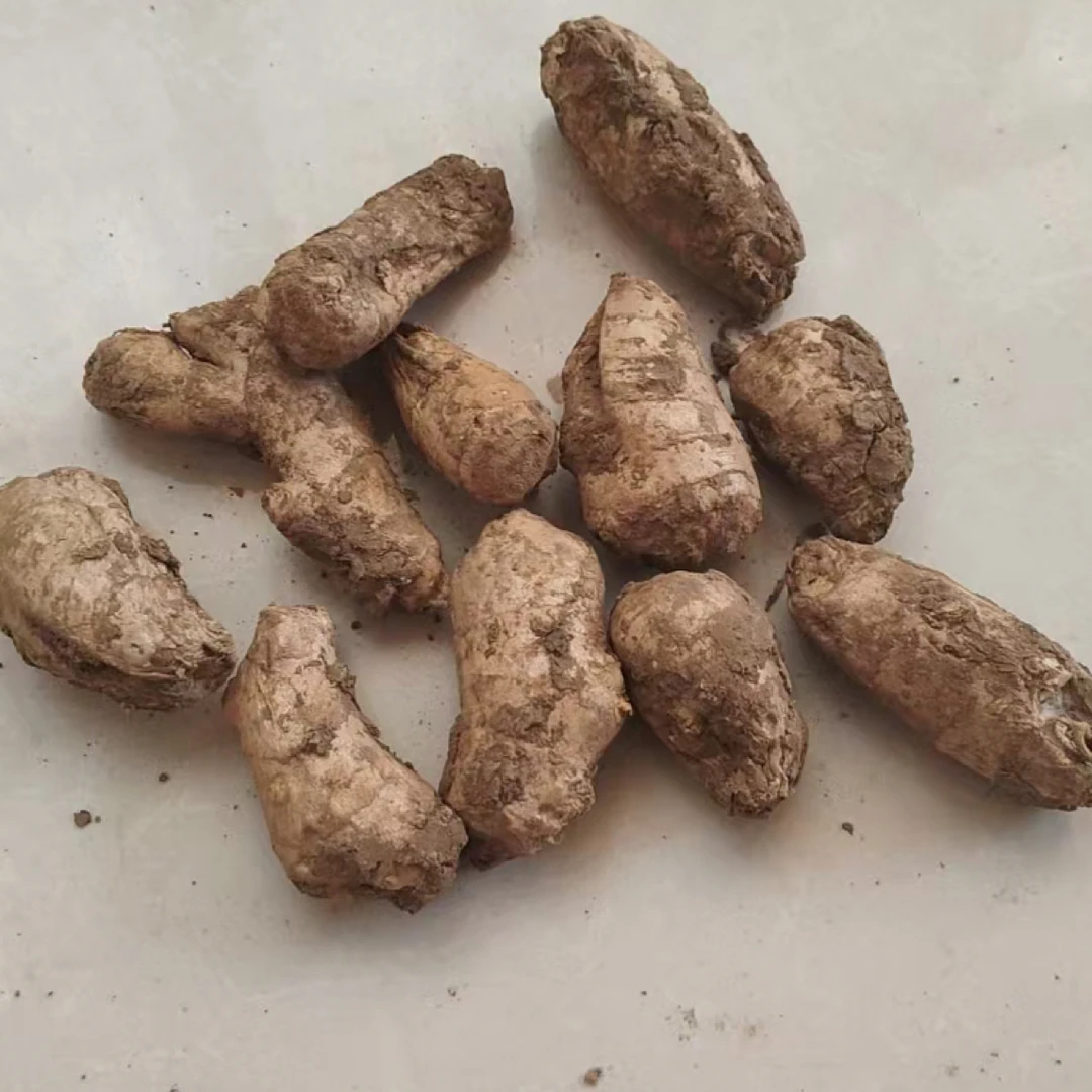 山东2年姜母用大黄豆土杂肥培育的大黄姜口感好作品为证假一赔十