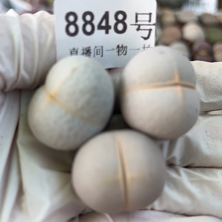 8848四年高尔夫三个2.3cm左右