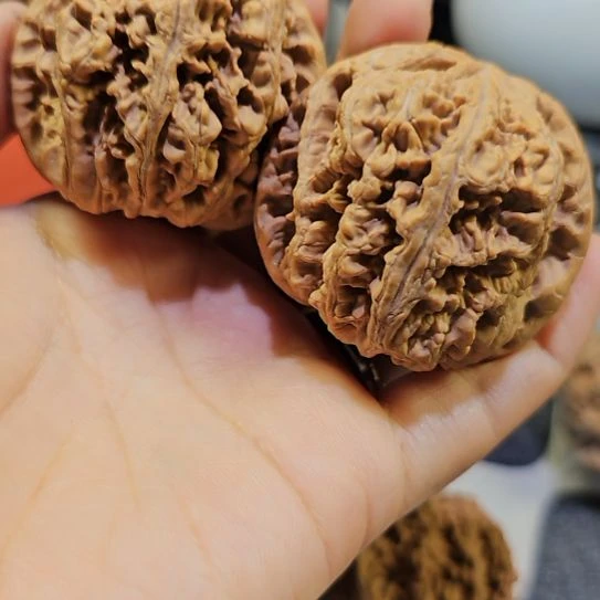 文玩核桃吊坠47粗筋