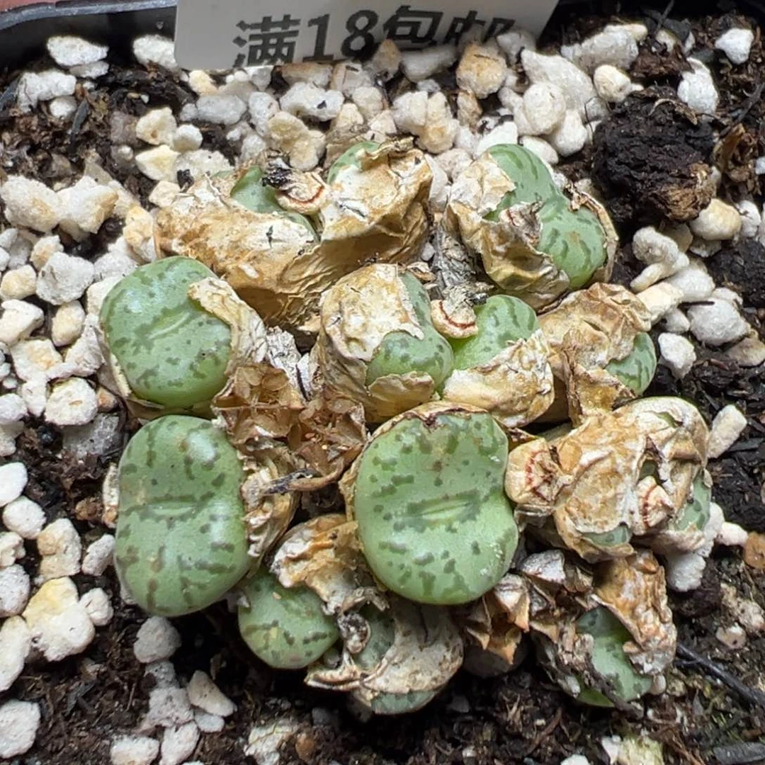 【闪购商品】 882。