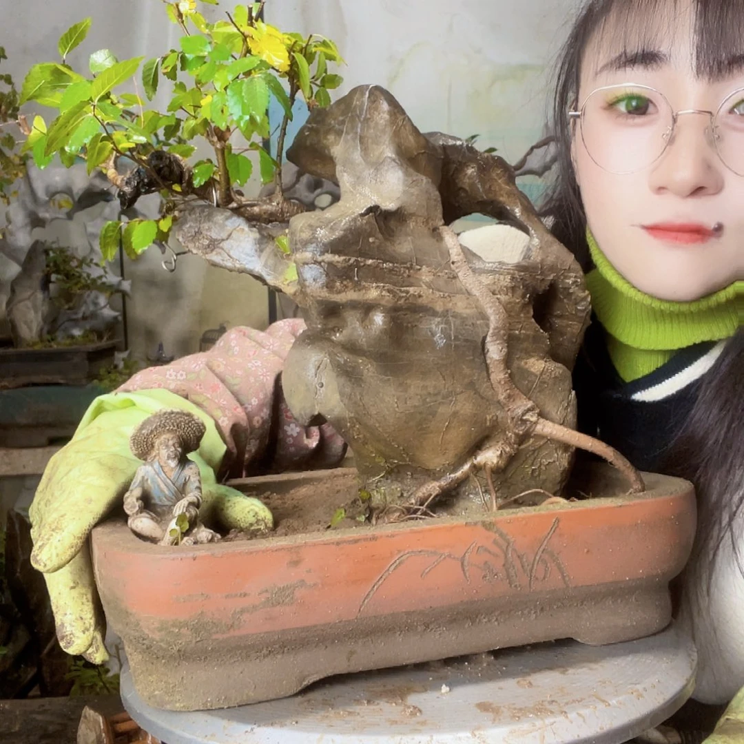 石***3花直播间不见不散