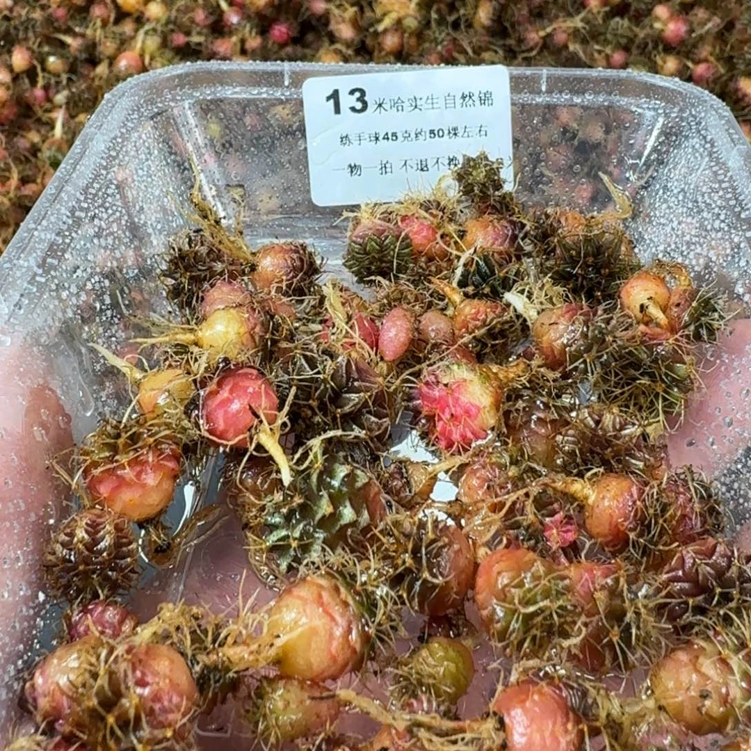 米哈实生自然锦练手球13