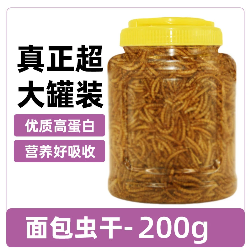 仓鼠金丝熊面包虫干零食黄粉虫干八哥乌龟芦丁鸡饲料小宠零食