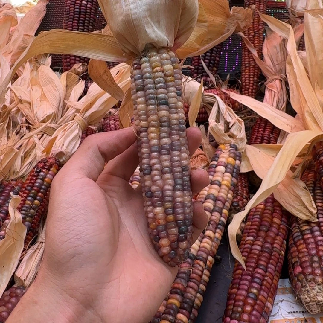 米***夏吊坠柏香籽/百香籽