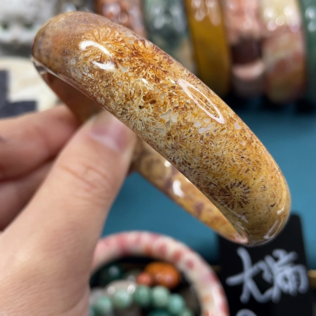 未镶嵌手镯硅化玉