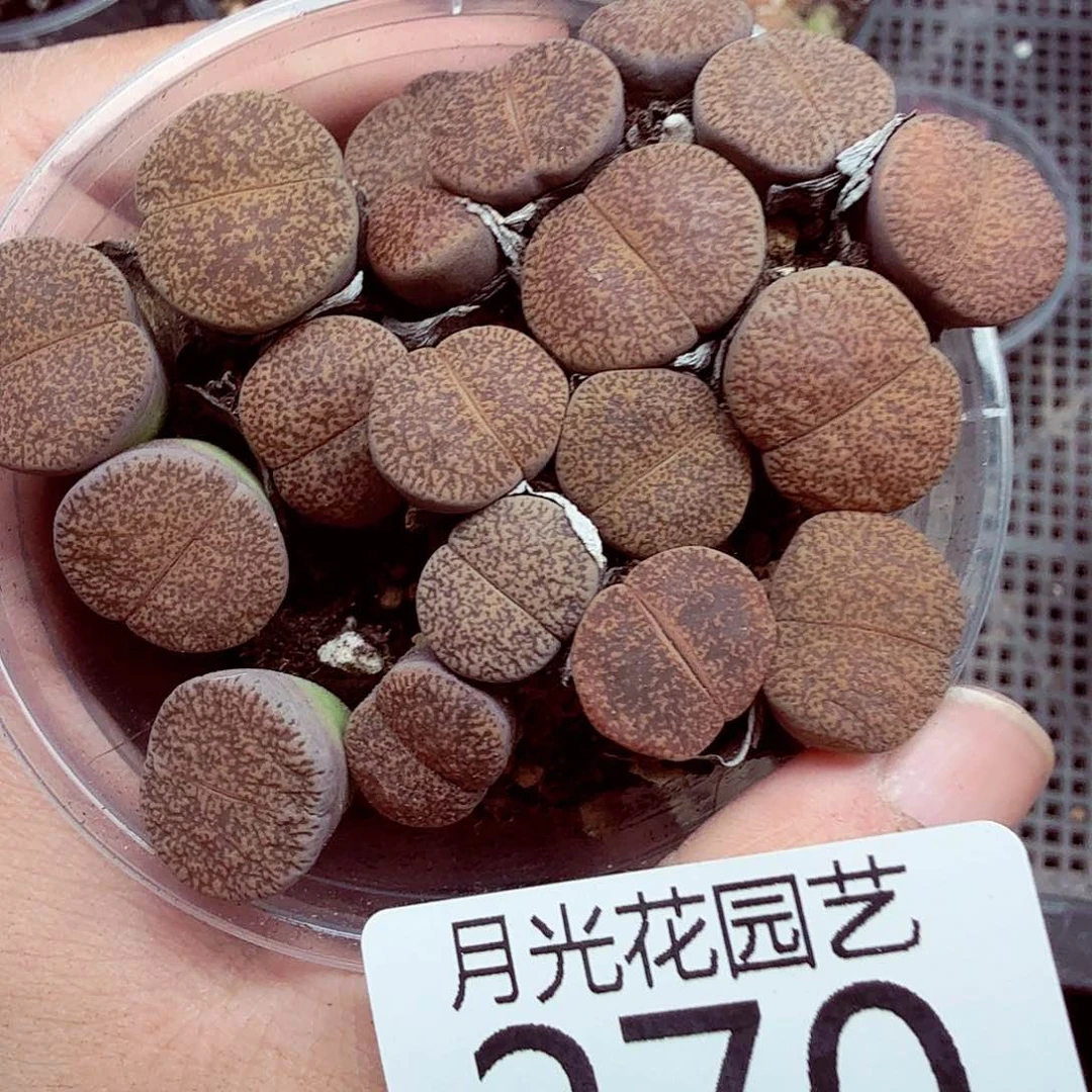 这两家银行也就270这个