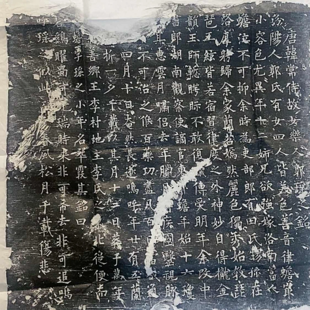 【闪购商品】拓片用纸其他c****o郭瑶