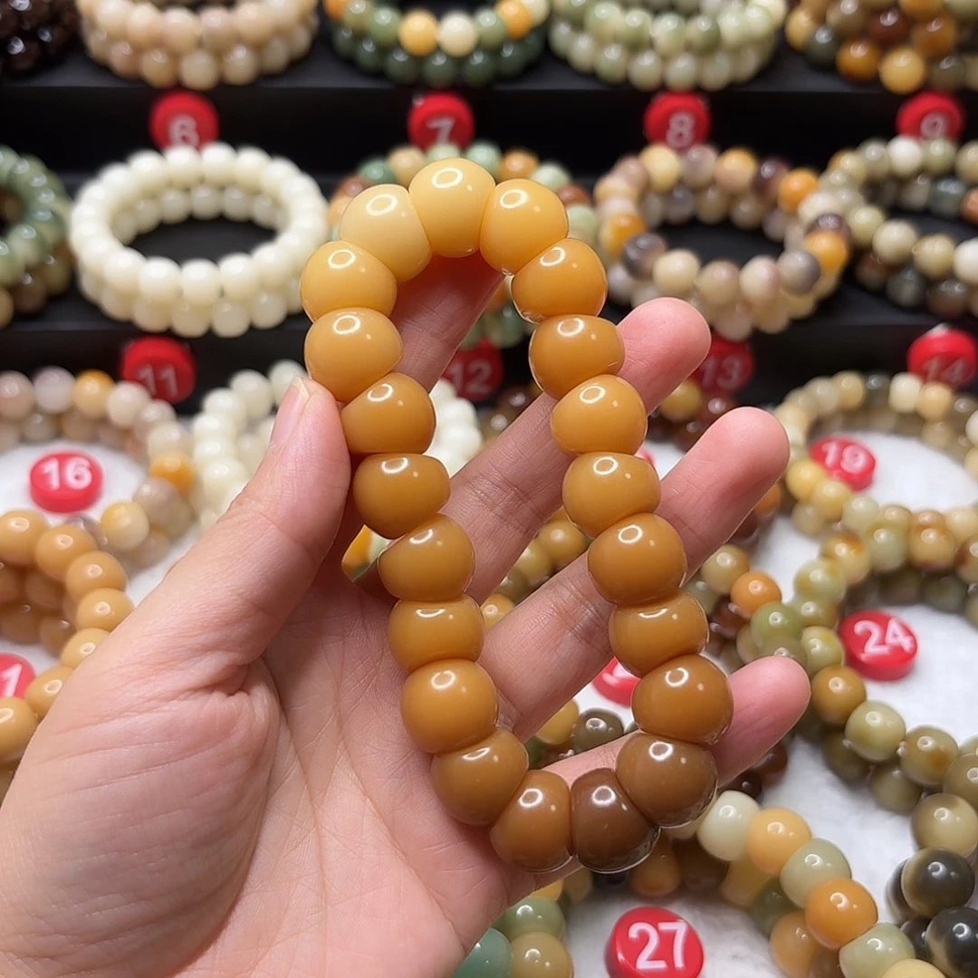 菩提根/象牙果手串大肠