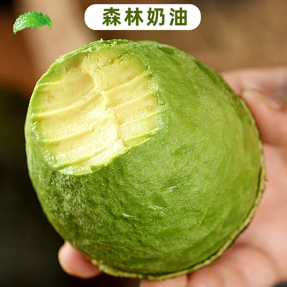 正宗云南哈斯牛油果现摘现发中果100-130g/个