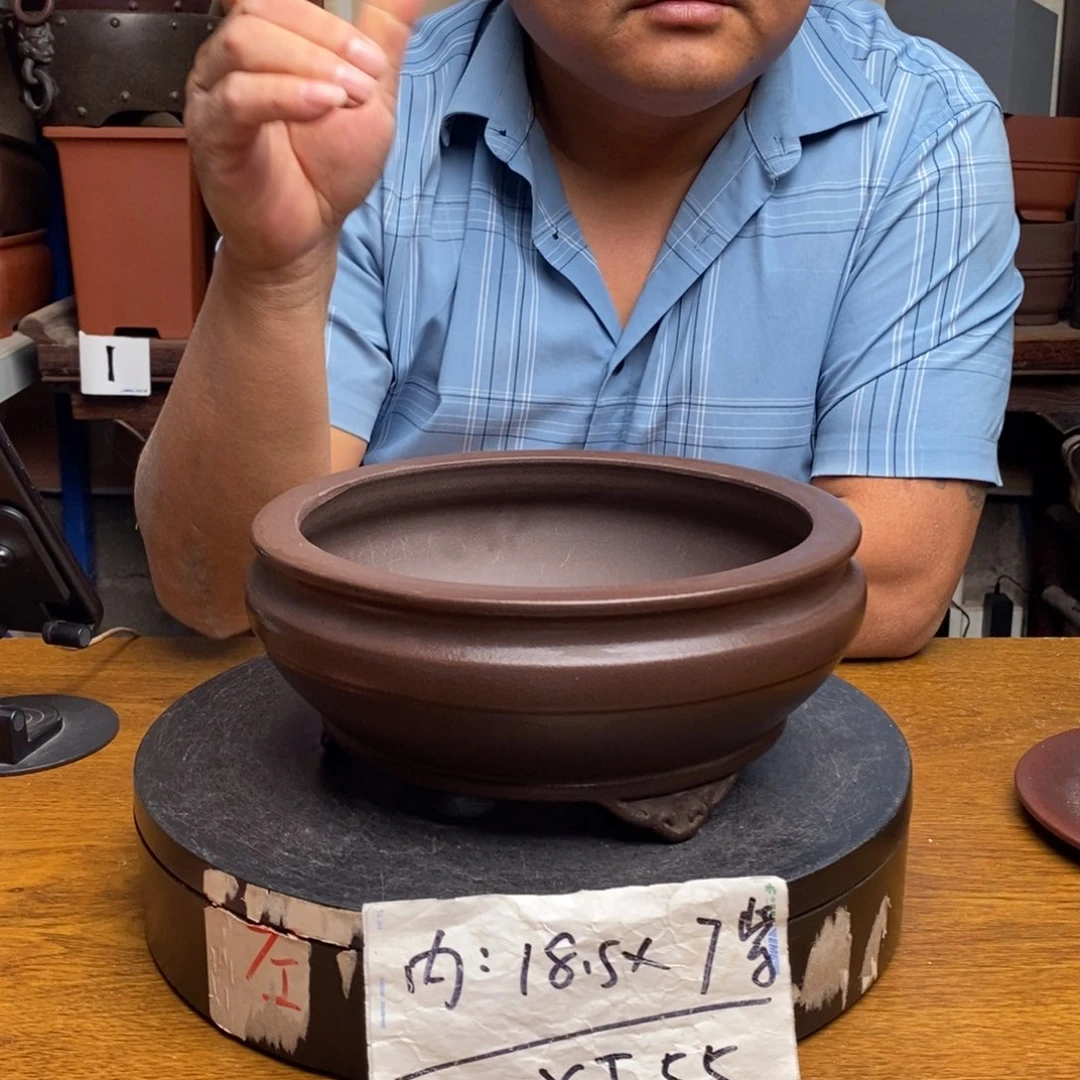 紫砂货号一只YJ55