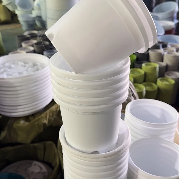 四季2#口径17白色6个带托